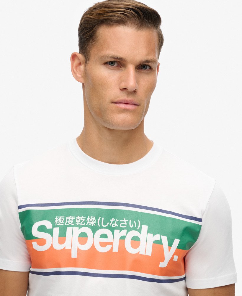 コアロゴストライプtシャツ(オプティック)